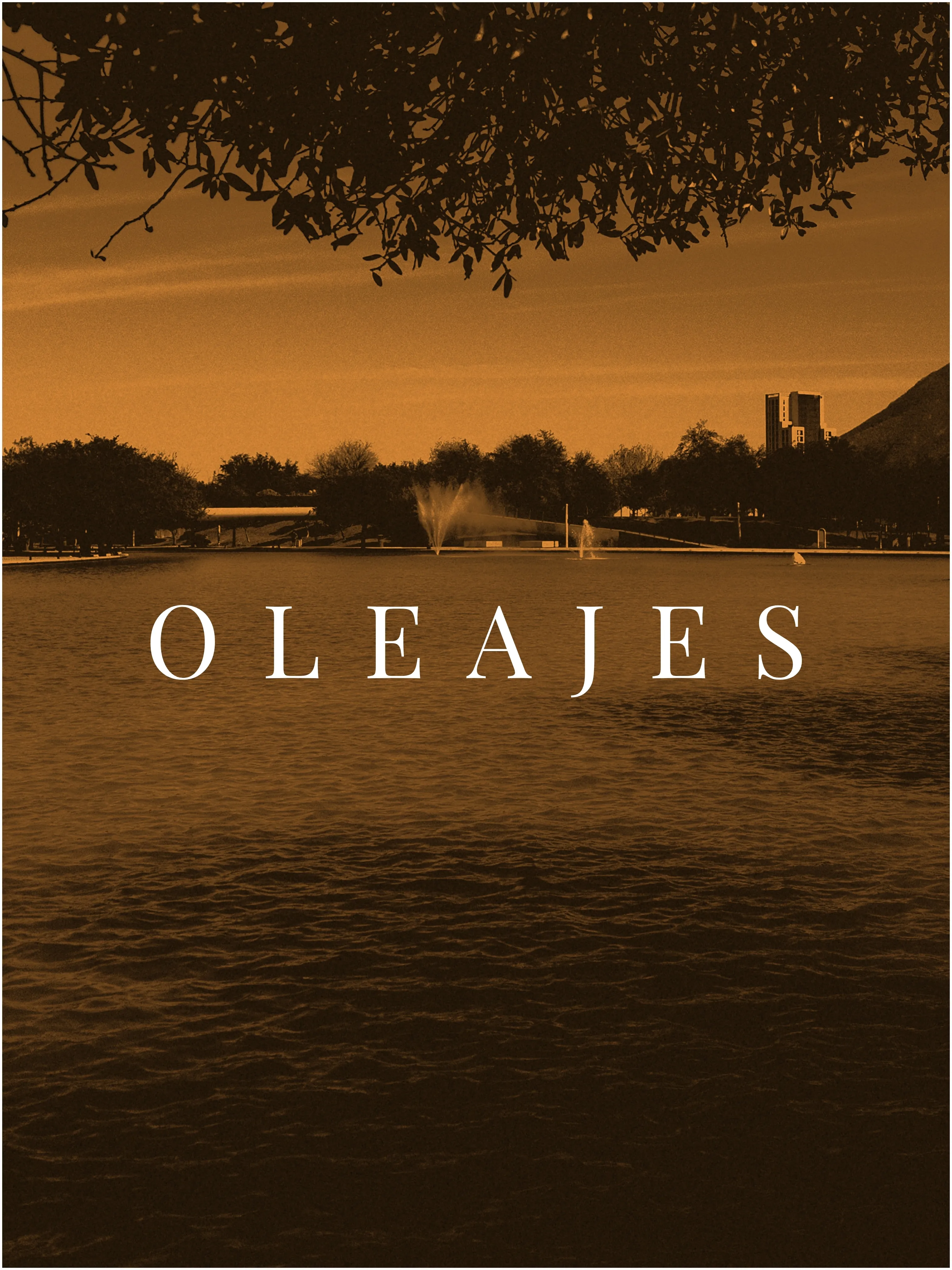 Oleajes