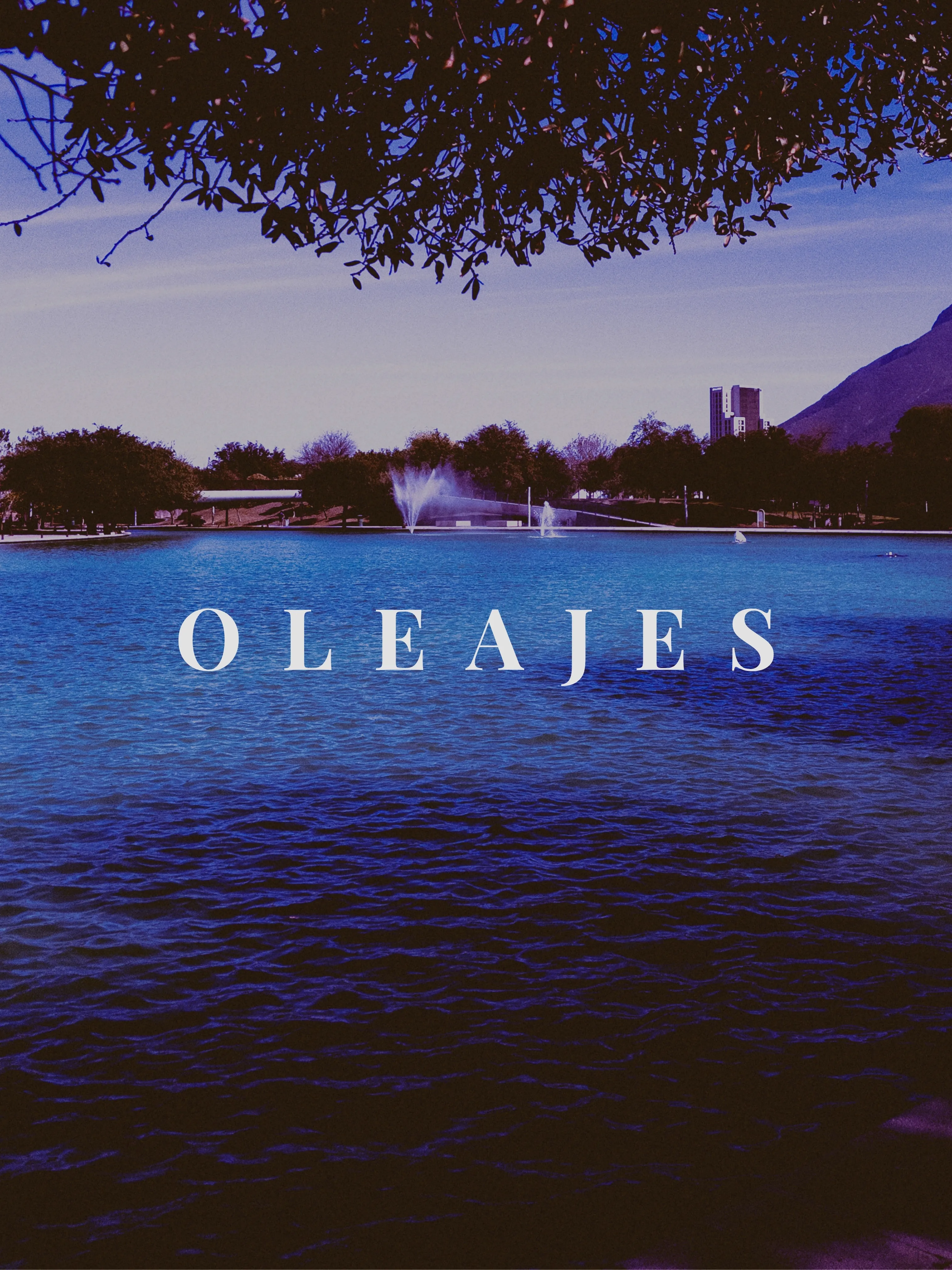 Oleajes